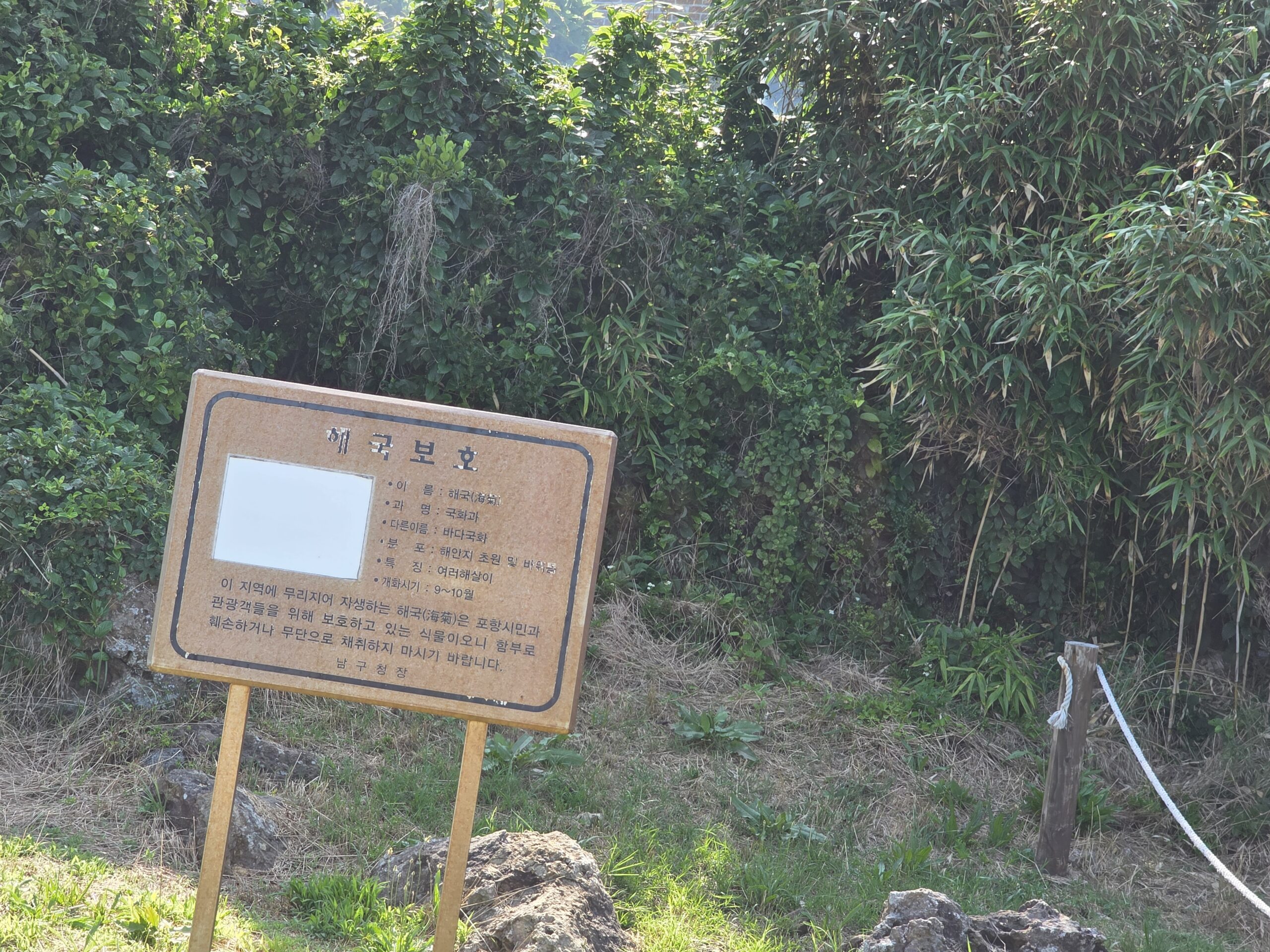 해국자생지 1