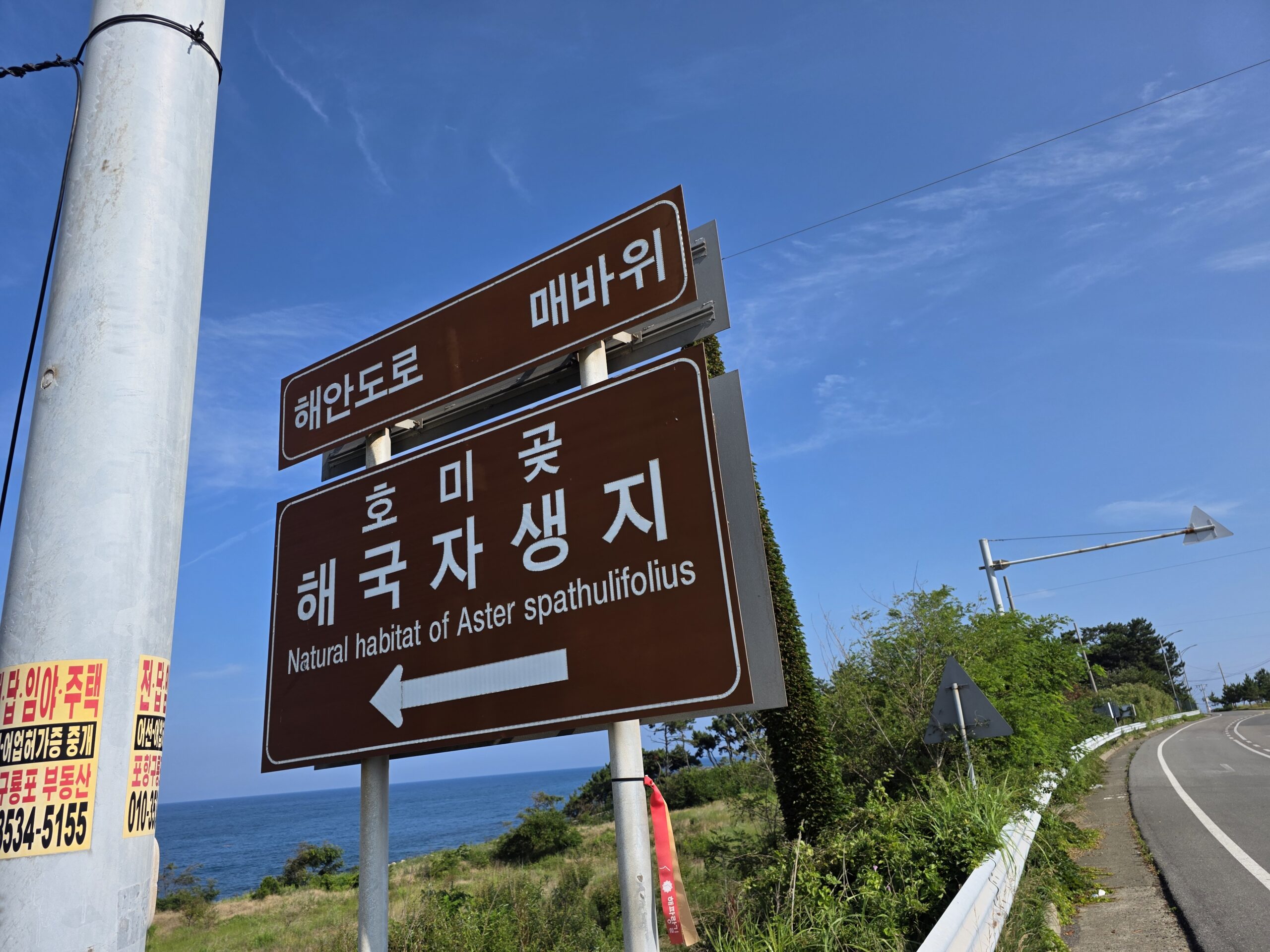 해국자생지 2